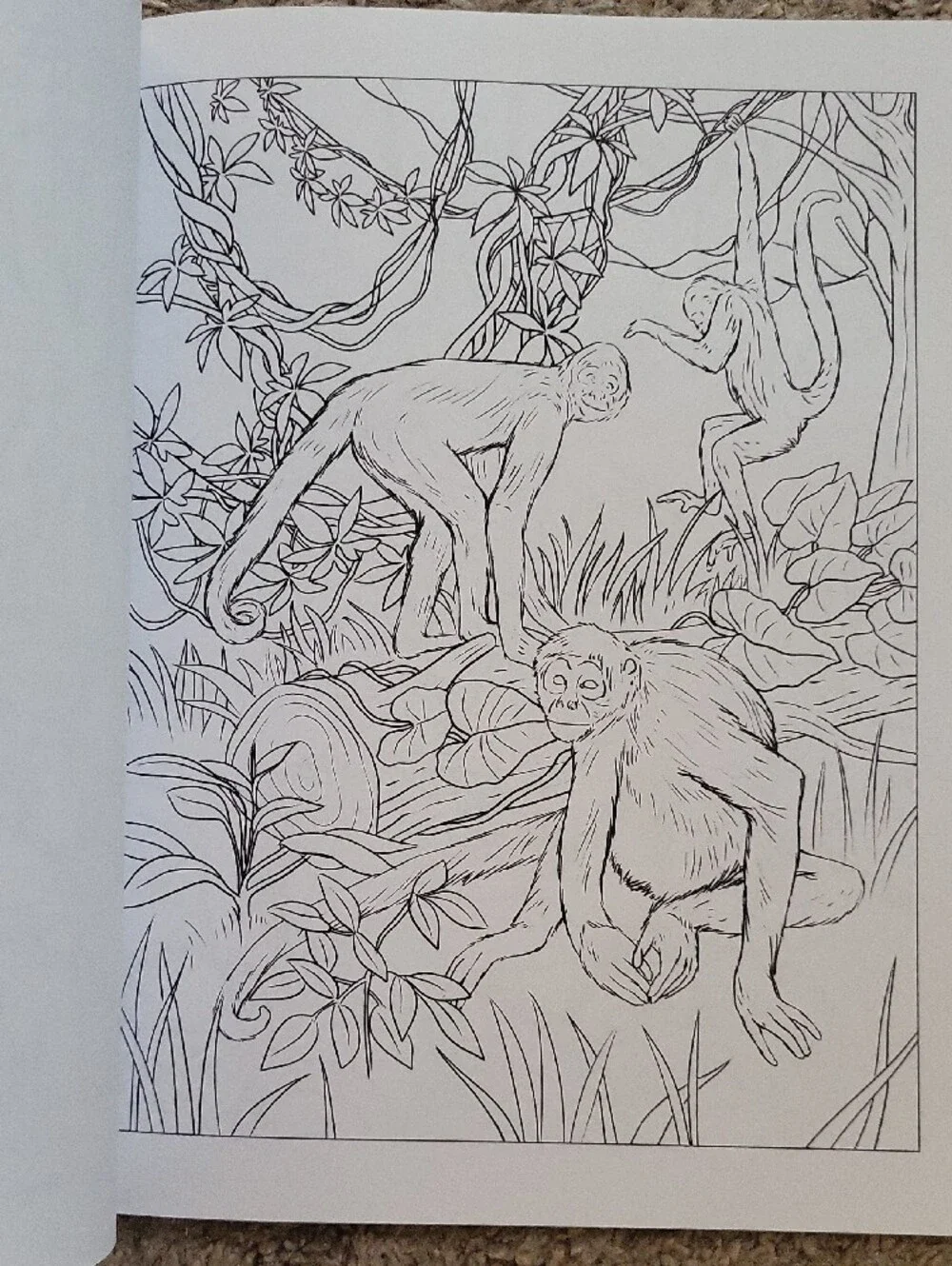 Designers Originals coloring books